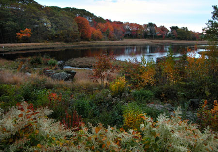 Ogunquit Maine Marsh