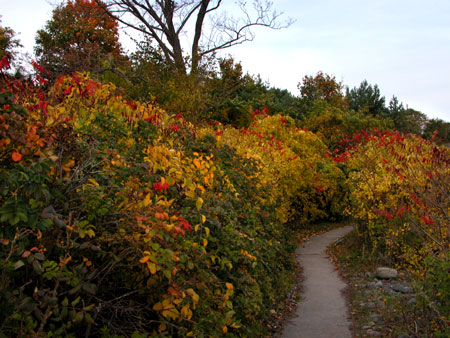 York Maine Coastal Path