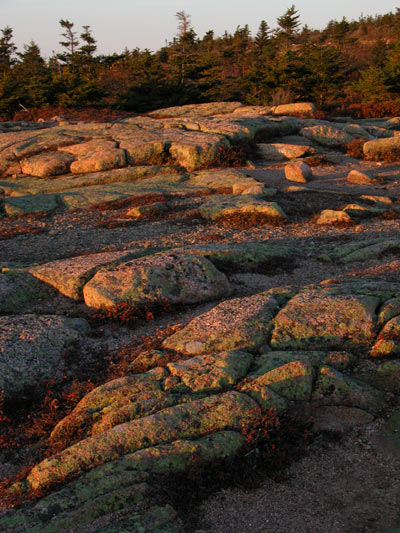 Mt Desert Island Rock - Acadia NP
