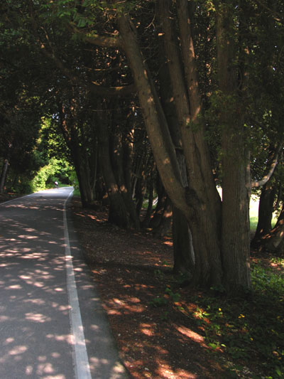 Road Around Coast of Mackinac Island