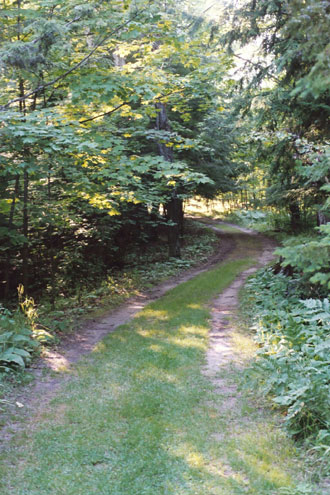 The Road to Stuga